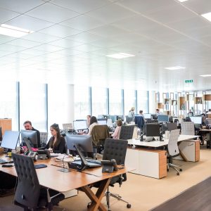 Microsoft Dynamics Customer Service